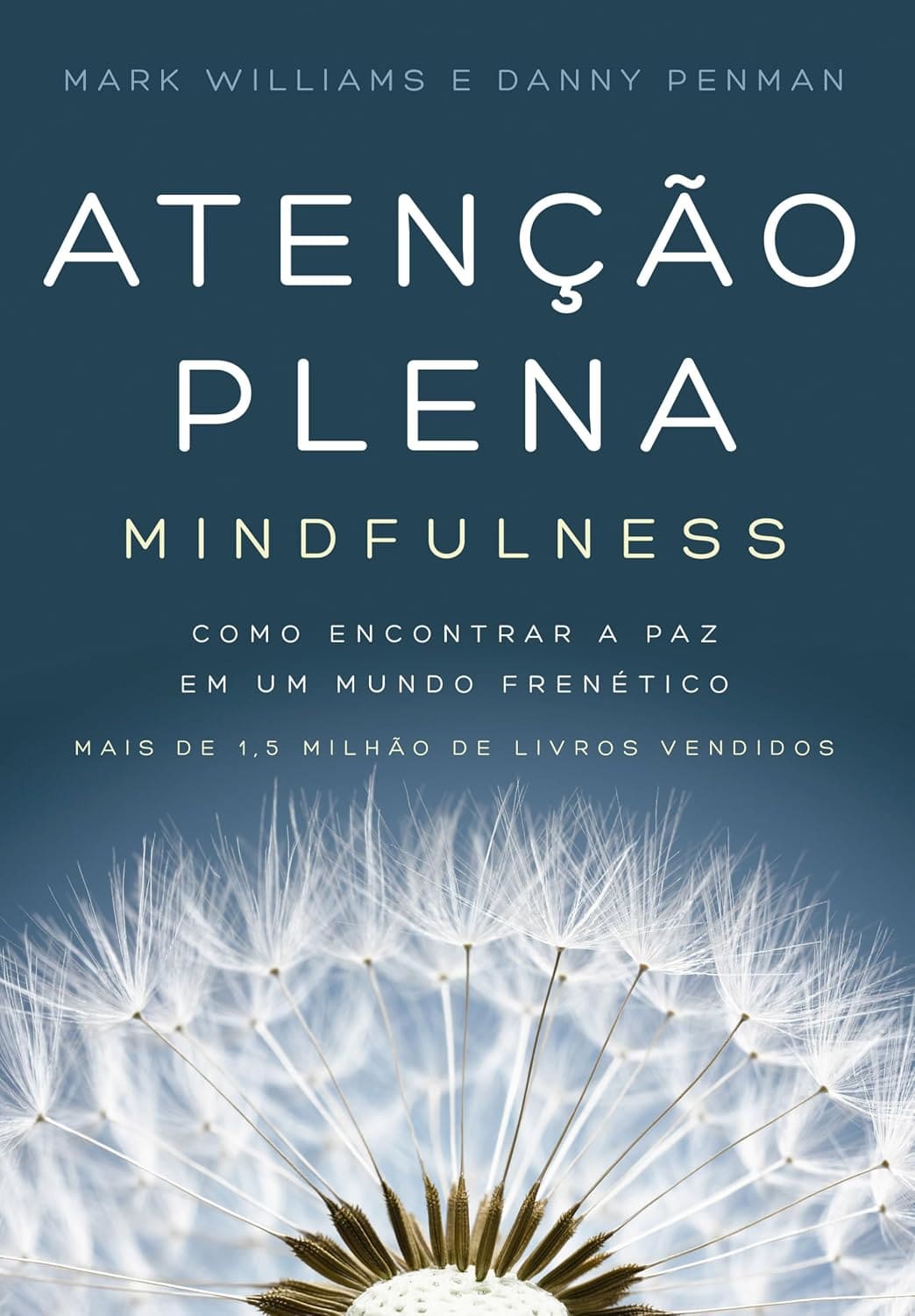 Livro - Atenção plena - Mindfulness
